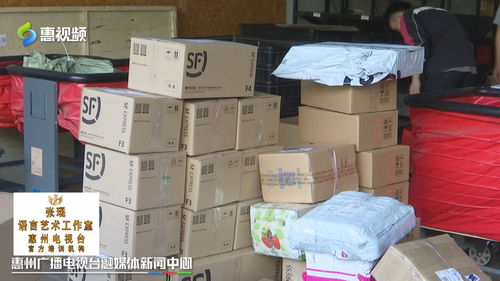 雙十一惠州網(wǎng)友熱衷“血拼”食品，快遞公司迎來(lái)攬件高峰